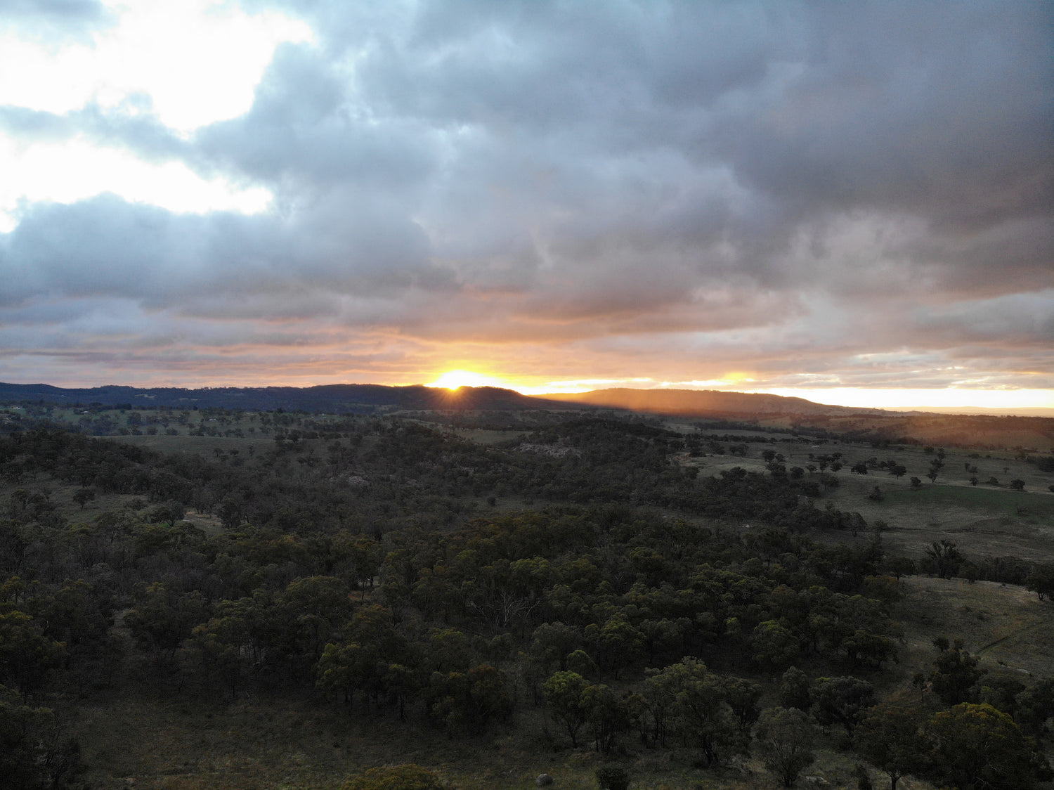 Wim Hof (mindfulness expert, extreme athlete): “BREATH MOTHERF*%#ER”